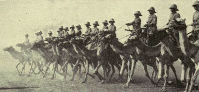 British Camel Corps in Sudan